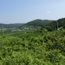 팔성2리 이미지