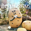 내장풍경펜션 | 먹고 쉬고 걷는 춘천 1박2일 신혼부부 여행 코스 추천