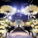 엠시티웨딩홀 이미지