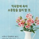 수지상사 이미지