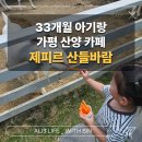 산들농원 | 아이와 가평 카페 - 산양 먹이주기 체험이 가능한 대형카페 제피르 산들바람 가평관광농원 내돈내산 후기