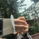 서울손세차 카멘즈 신림점 스팀세차 가격 차량내부냄새제거