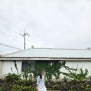 빌레낭