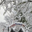 서울다원학교 이미지