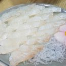 와동어사출또 네이버블로그