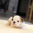 안양슈퍼 이미지