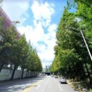 대왕판교로 이미지