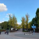 가을 소풍 서울 어린이대공원 단풍 나들이 여행