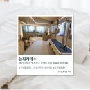 늘필라테스 | [경기/고양] 일산 개인 필라테스 늘필라테스 솔직후기