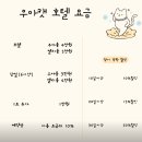 고양이미용호텔 우아캣 이미지