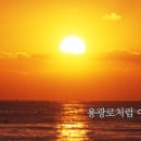 해운대에 올라 Daum카페