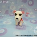 하루멍멍 이미지