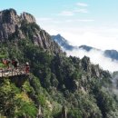 실속코스 이미지