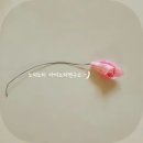 아이노리연구소 이미지
