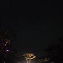 금산만악리수목원 오토캠핑장 이미지