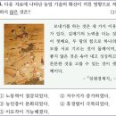 16회 중급 28번 해설(모내기법의 영향) 이미지