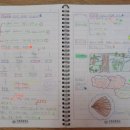 구평초등학교 이미지