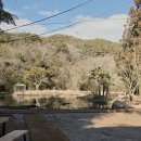 아우룸 | 무안 아우룸 황칠 후기｜아이와 힐링 여행, 황칠 효능까지