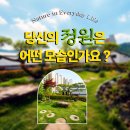 소나무하우스 | 대구조경 소나무조경 경산 타운하우스 단독주택 정원화단 리모델링 야외조경 시공 후기