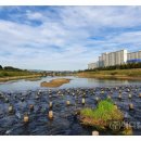 주식회사 메디칼탑 이미지