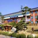 Sac on screen 아빠닭 이미지