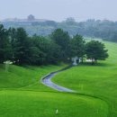 삼남개발(주) 기흥컨트리클럽 이미지