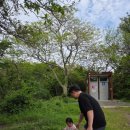 나무숲소 | 제주 화순곶자왈 생태탐방 숲길｜19개월 아기와 첫 숲길 도전 후기 (주차장, 화장실 , 전망대 , 음메~소)