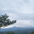 버터행성-706