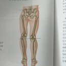 코드엠 트레이닝 네이버블로그