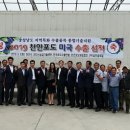하늘그린