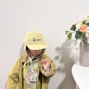 혜유화 이미지