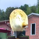 올바른 농원 이미지