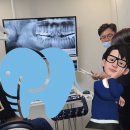 코끼리치과의원 네이버블로그