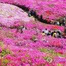 군포-산본-2011 연합뉴스