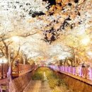 진해목장 이미지