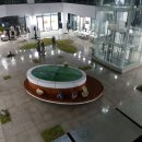 나비공간 이미지