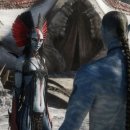 일 신 재 이미지