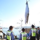 고래유통