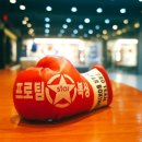 프로팀스타 복싱 이미지