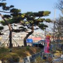 숲속쉼터옆 | 자연 속 힐링 공간, 앞산 숲속 책 쉼터 개관 방문 후기