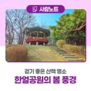현충탑 | 지금 딱 걷기 좋은 군포시민 산책 명소, 한얼공원 봄 풍경