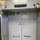 꼬시네 돈가스 이미지