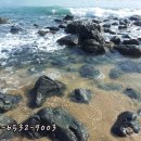 종성농장 이미지