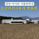 오산리선사유적박물관 | 양양 아이와 가볼만한곳 오산리선사유적박물관 전시 체험 주차 방문 후기