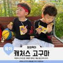 어린이 간식으로 구매한 캐처스 해남 꿀고구마 내돈내산 후기
