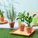 송림학당 이미지