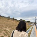 수원 행궁 / 뉴니 / 수원데이트 / 행궁동애견동반카페 / 창룡문산책추천카페