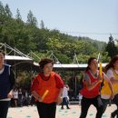 합기도 천지관 비래충효도장 | [몬스터]2017 비래초운동회♡ 합기도천지관 ♡용인대충효도장