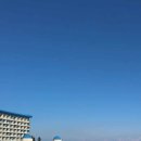 펫 패밀리 | 소형견과 삼척 여행 후기｜쏠비치 펫 패밀리 스탠더드 1박 2일 솔직 리뷰