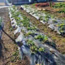 동읍스카이공인중개사사무소 이미지